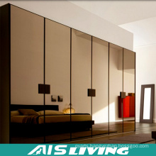 Mirror Pull out Door  Wardrobe  Cabinets (AIS-W415)